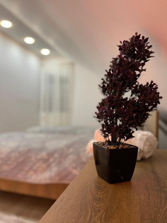 Luna Apartment โนวีปาซาร์ ภายนอก รูปภาพ